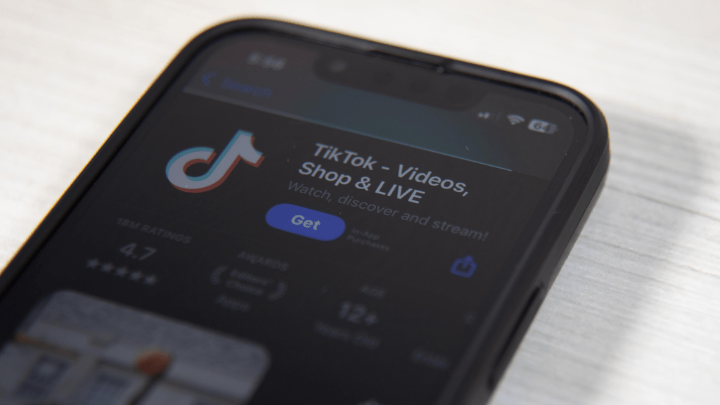 Social Media and Shaping Cannabis Fashion